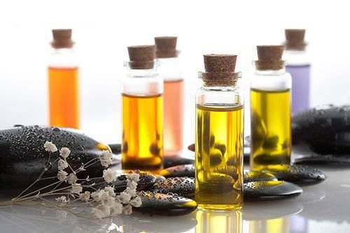 organic plant essential oil