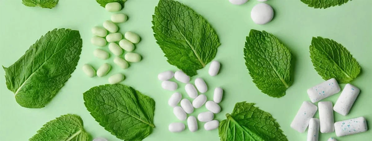 Menthol-ester-and-carboxylic-acid-series-products Menthol-ester-and-carboxylic-acid-series-products